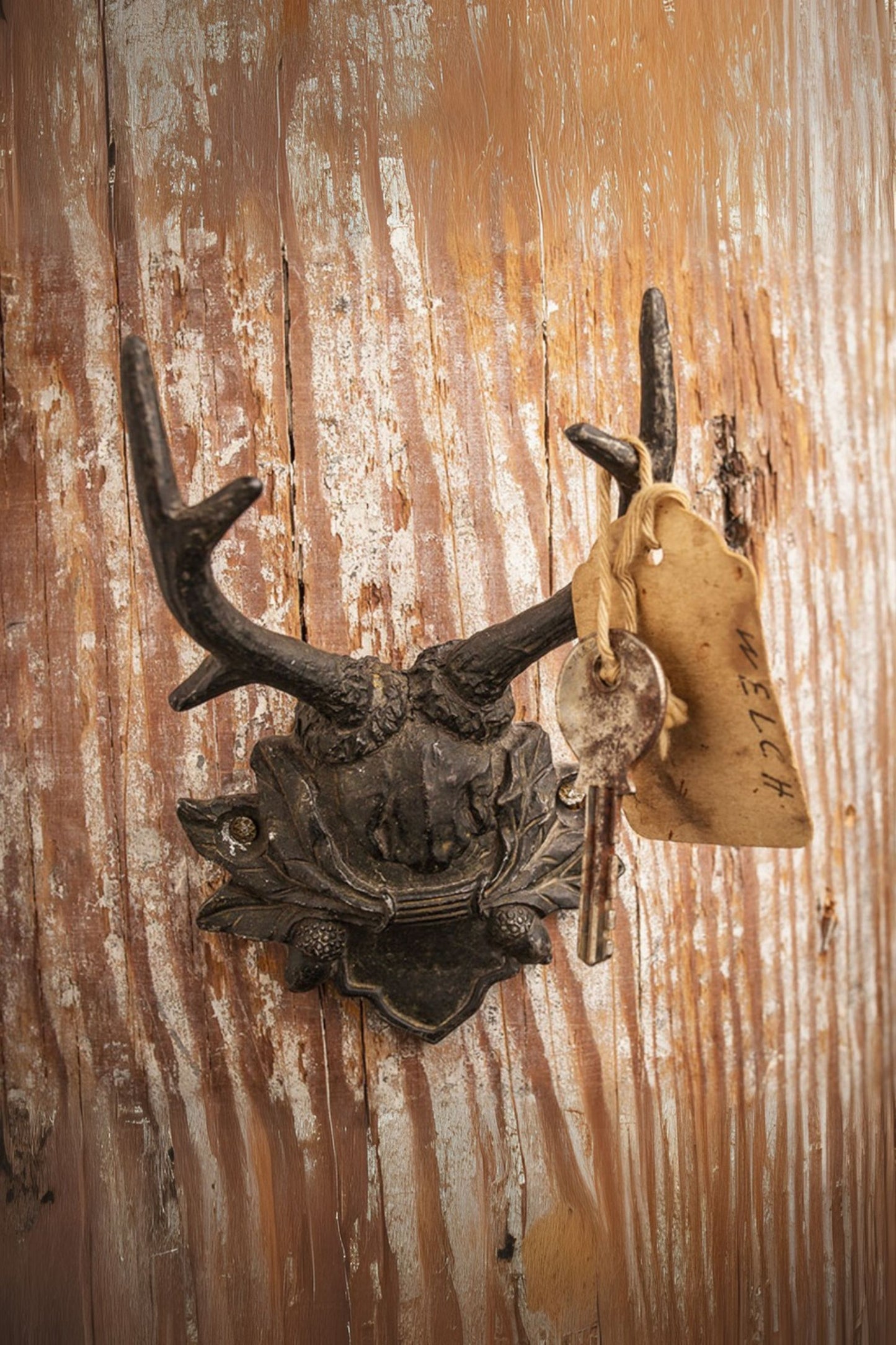 Antler Wall Hook