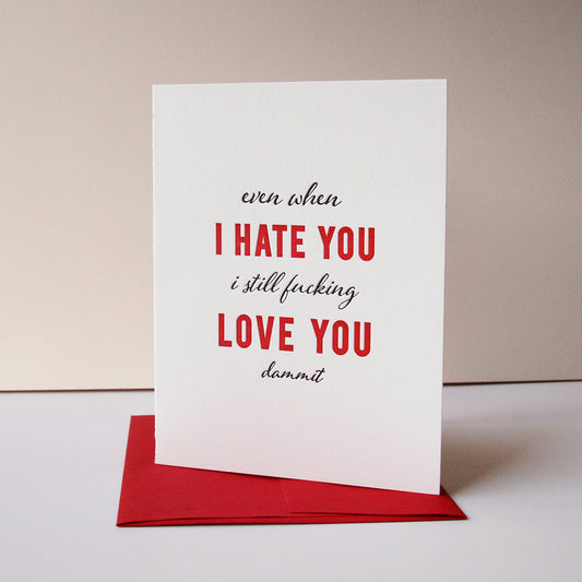 Hate You, Love You - Love, Friendship and Valentine Anniversary Card