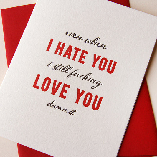 Hate You, Love You - Love, Friendship and Valentine Anniversary Card