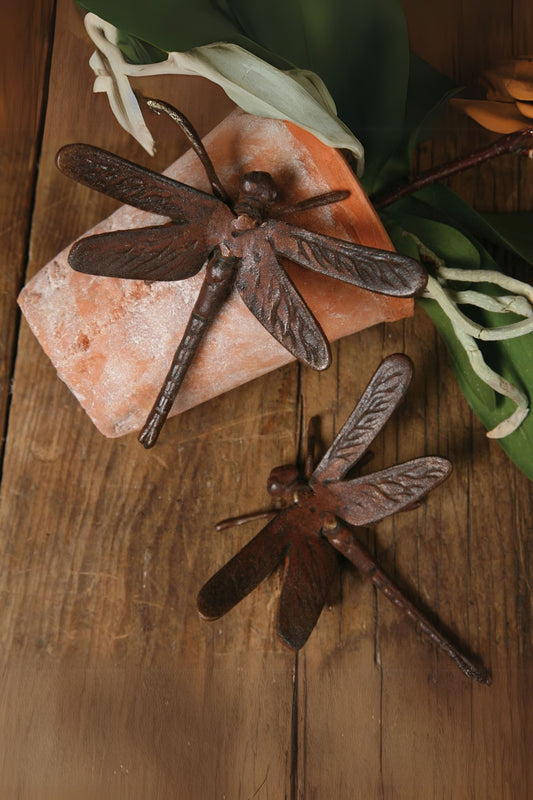 Cast Iron Dragonfly